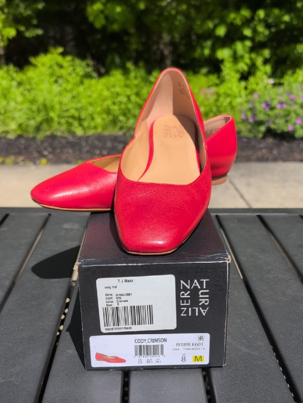 Naturalizer Cody Crimson Leather Pointed Toe Flat
